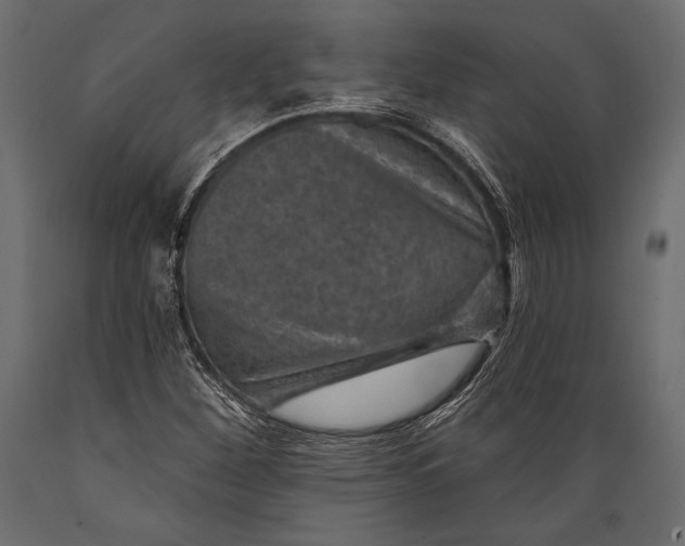 X0000088851260200706291447