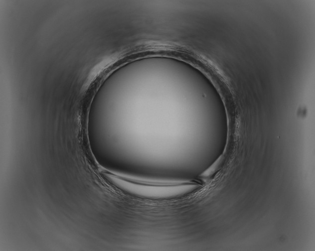 X0000088851261200706291447