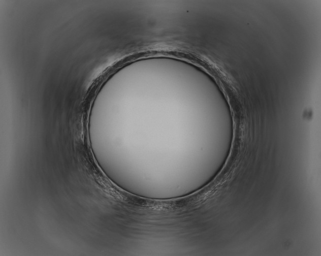 X0000088851262200706291447