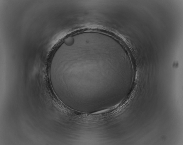 X0000088851263200706291447