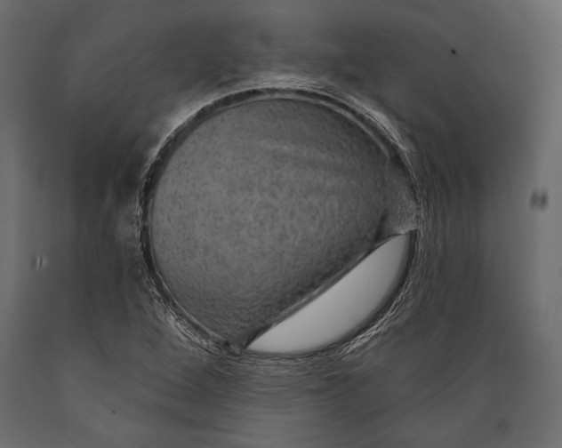 X0000088851264200706291447