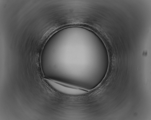 X0000088851265200706291447