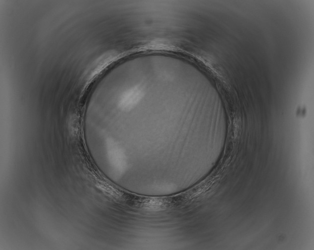 X0000088851266200706291447