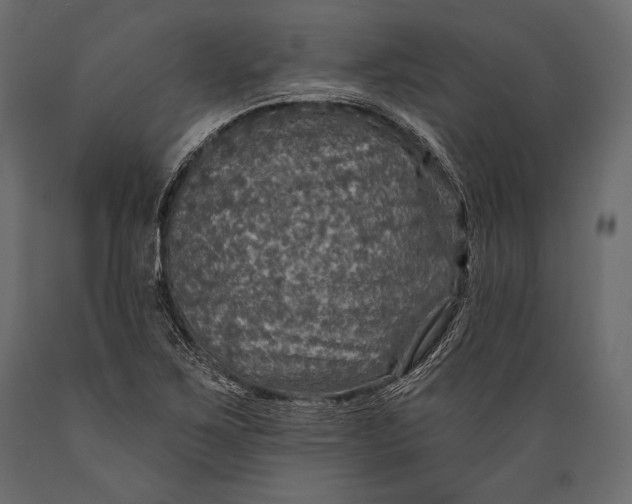 X0000088851267200706291447