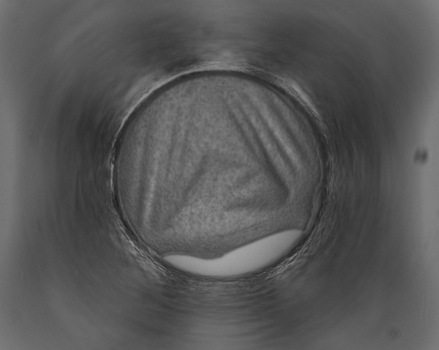 X0000088851268200706291447