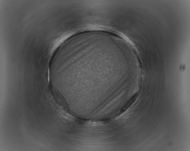 X0000088851269200706291447