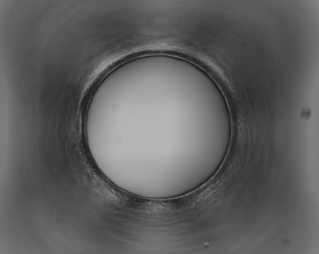 X0000088851270200706291447