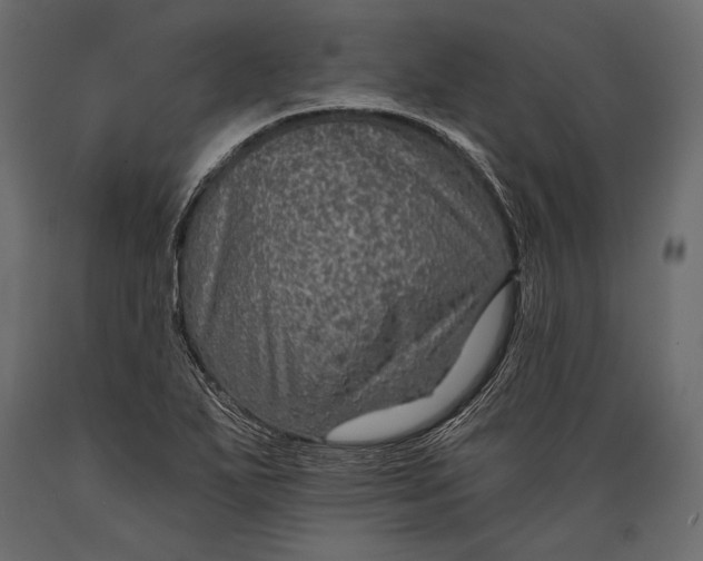 X0000088851271200706291447