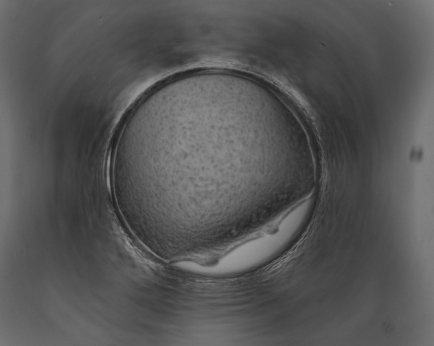 X0000088851272200706291447