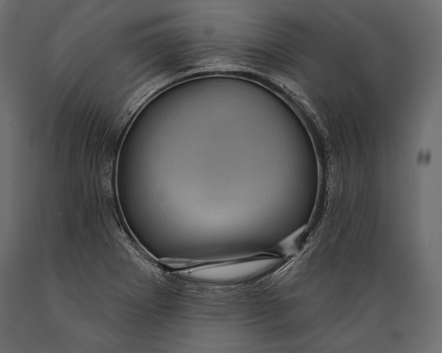 X0000088851273200706291447