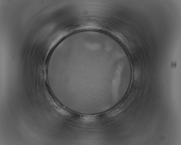 X0000088851274200706291447