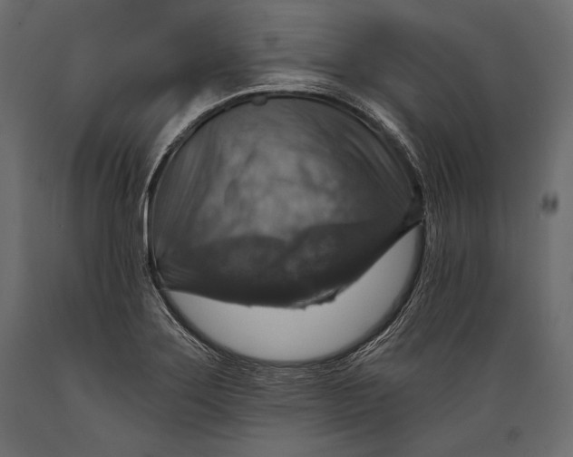 X0000088851275200706291447