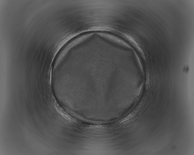 X0000088851276200706291447