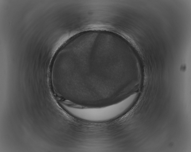 X0000088851277200706291447