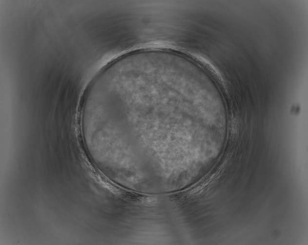 X0000088851278200706291447