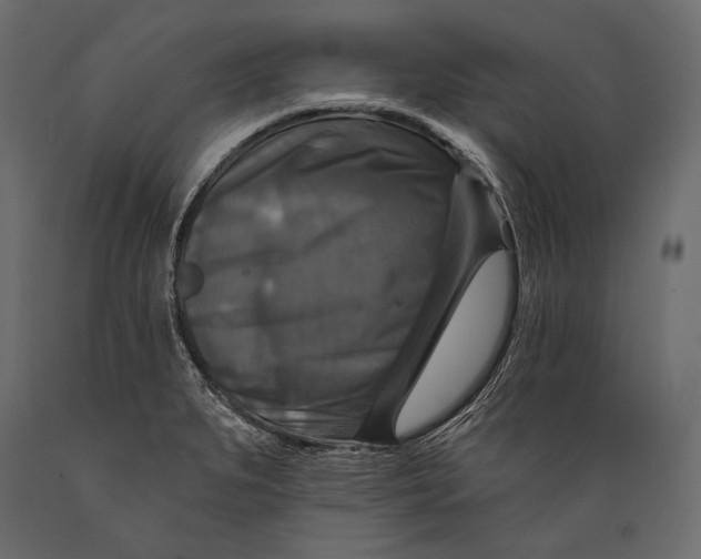 X0000088851279200706291447