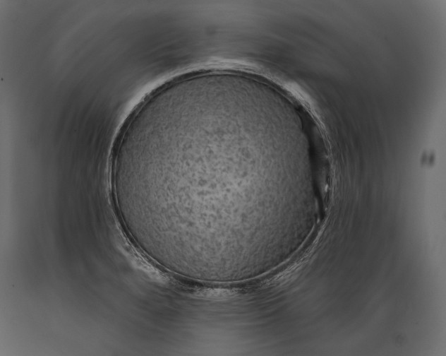 X0000088851280200706291447