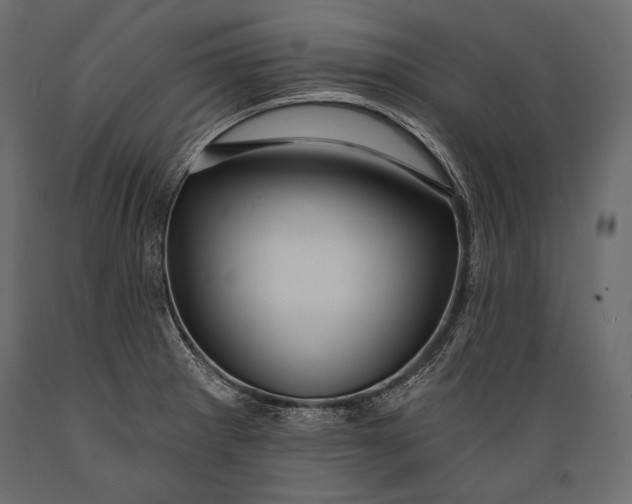 X0000088851281200706291447