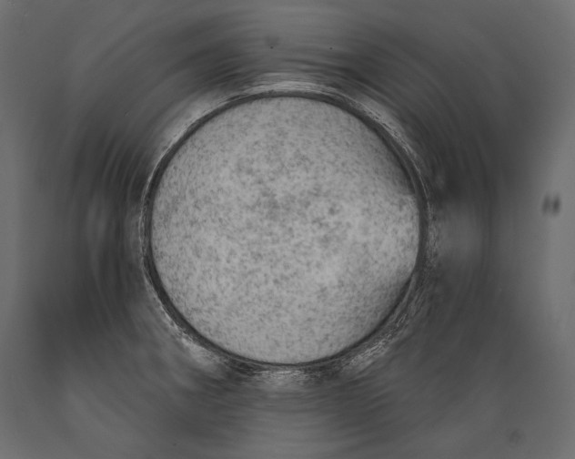 X0000088851282200706291447