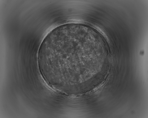 X0000088851283200706291447