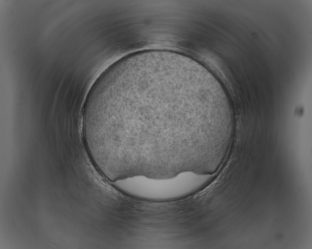 X0000088851284200706291447