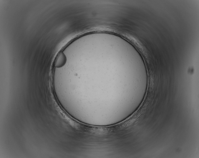 X0000088851286200706291447