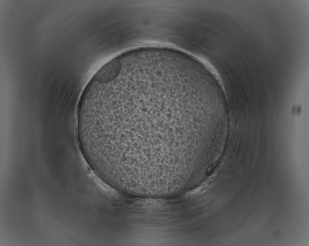 X0000088851287200706291447