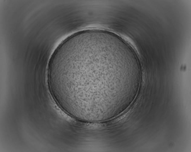 X0000088851288200706291447