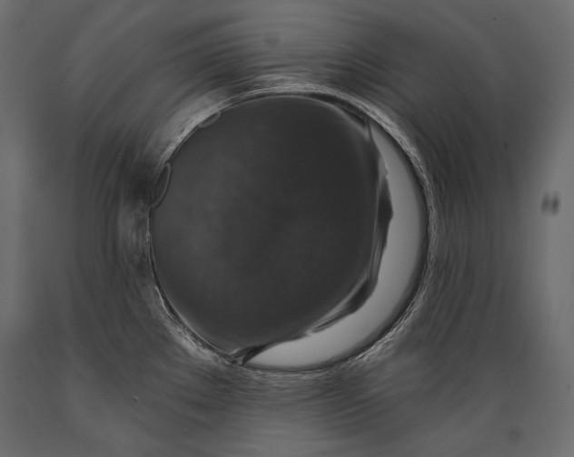 X0000088851289200706291447