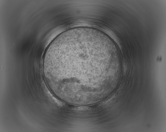 X0000088851290200706291447