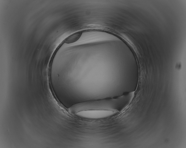 X0000088851291200706291447