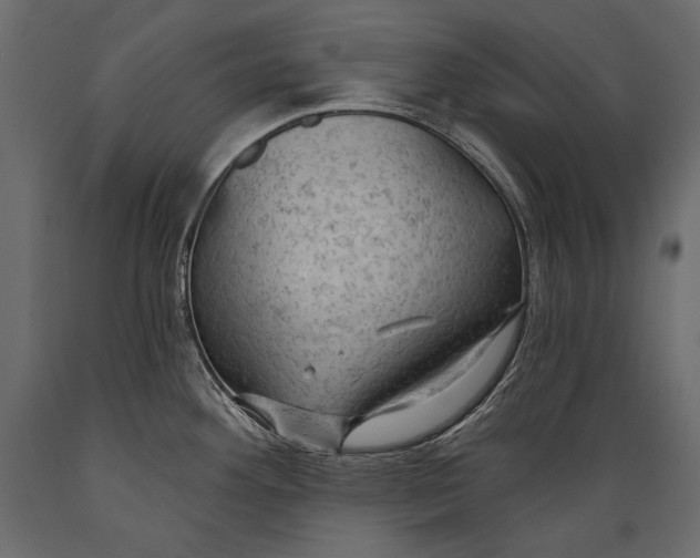 X0000088851292200706291447