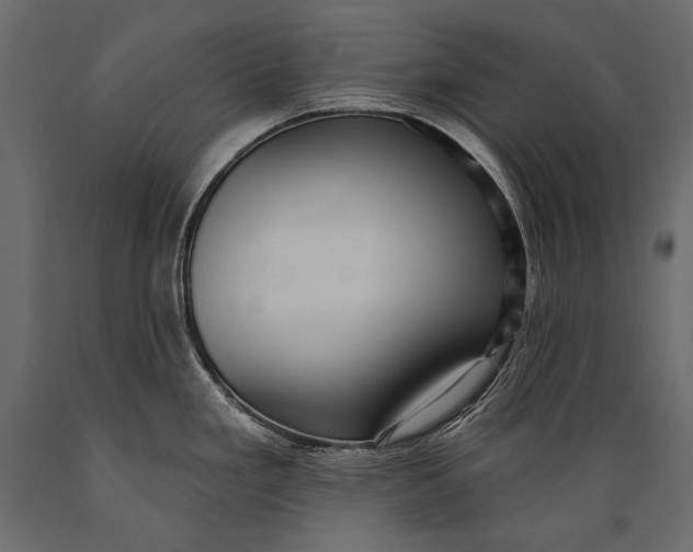 X0000088851293200706291446