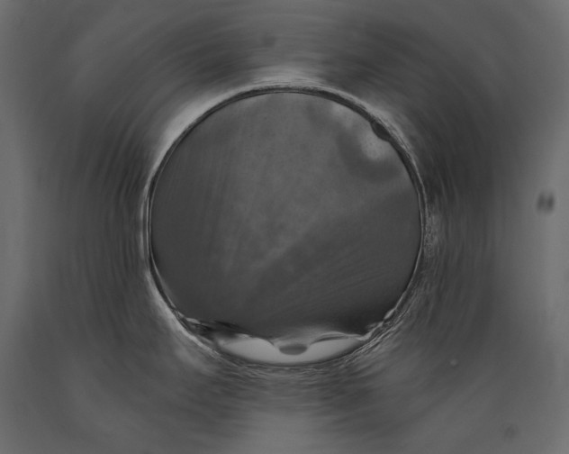 X0000088851295200706291446