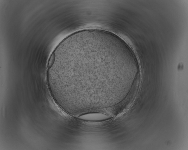 X0000088851296200706291446