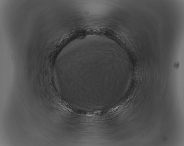 X0000088851297200706291446