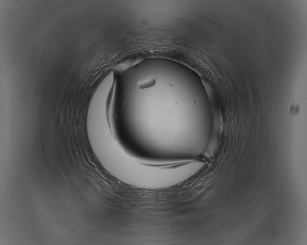 X0000088851298200706291446