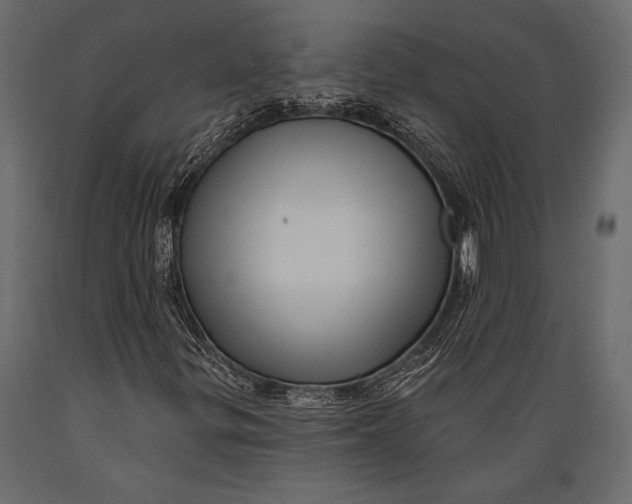 X0000088851299200706291446