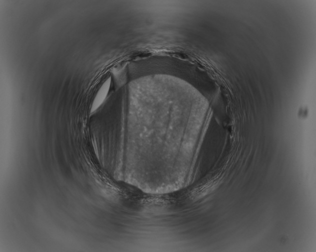 X0000088851300200706291446