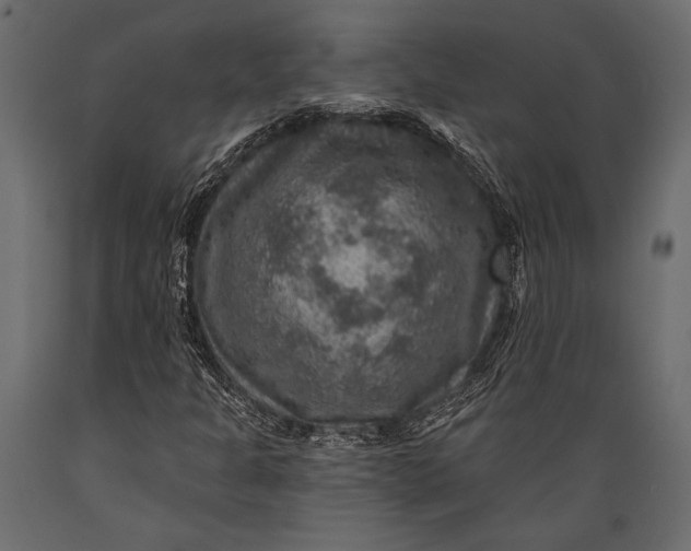 X0000088851301200706291446