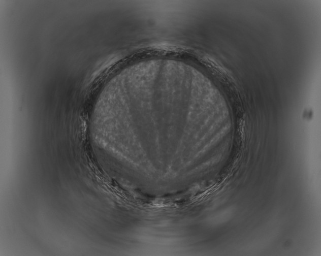 X0000088851302200706291446