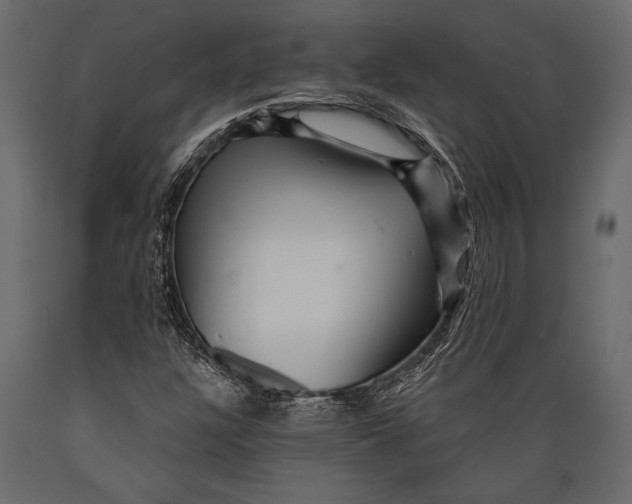 X0000088851304200706291446