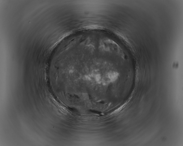 X0000088851305200706291446