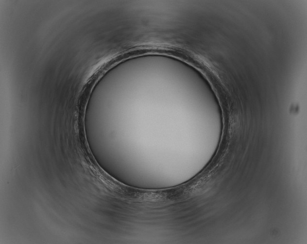 X0000088851307200706291446