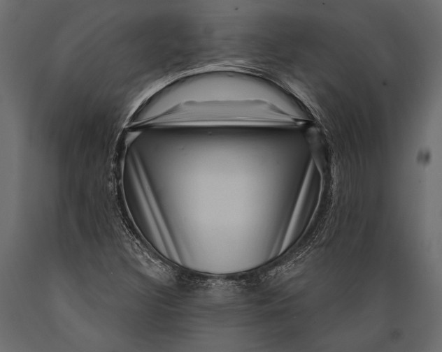 X0000088851308200706291446