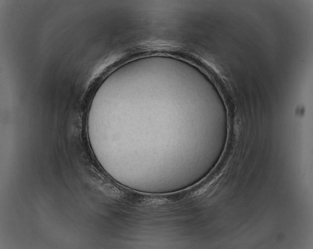 X0000088851309200706291446