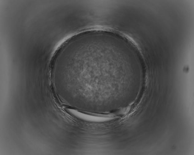 X0000088851310200706291446