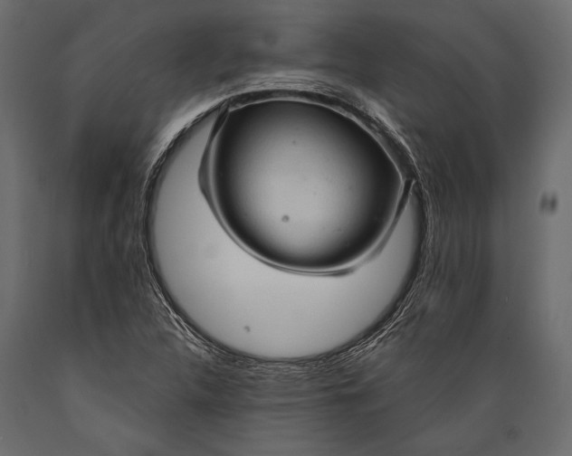 X0000088851312200706291446