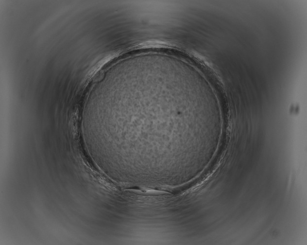 X0000088851313200706291446