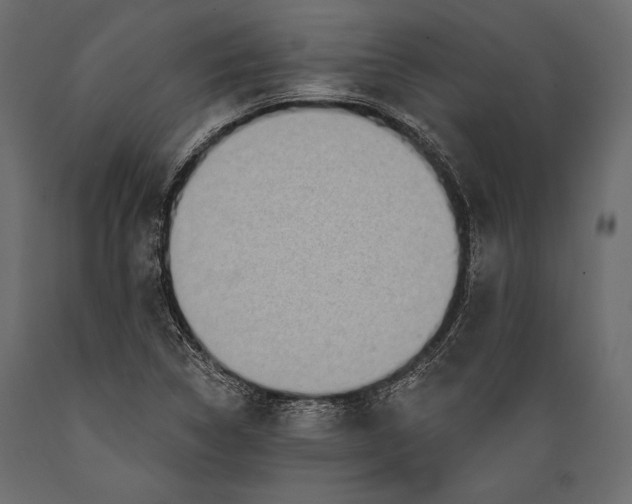 X0000088851314200706291446